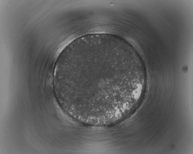 X0000112111465200909151212