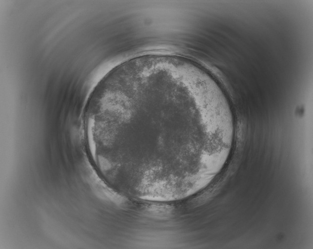 X0000112111466200909151212