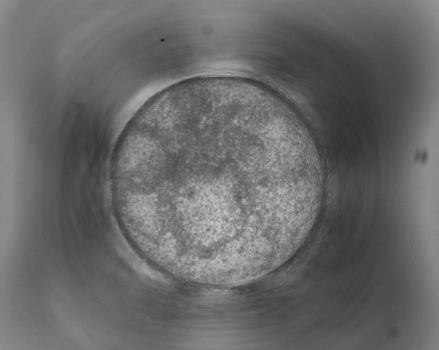 X0000112111470200909151212
