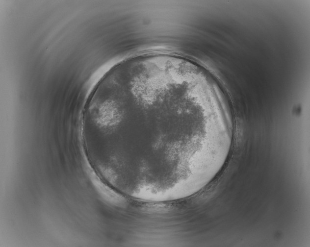 X0000112111474200909151212