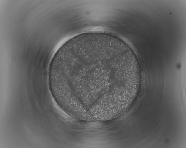 X0000112111475200909151212