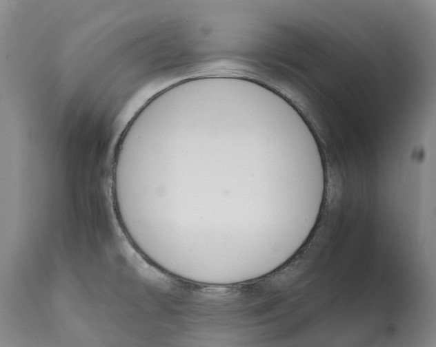 X0000112111478200909151212