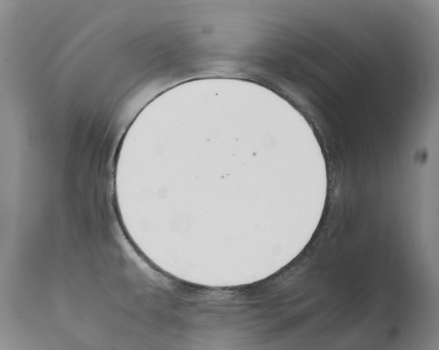 X0000112111479200909151212