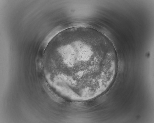 X0000112111481200909151212