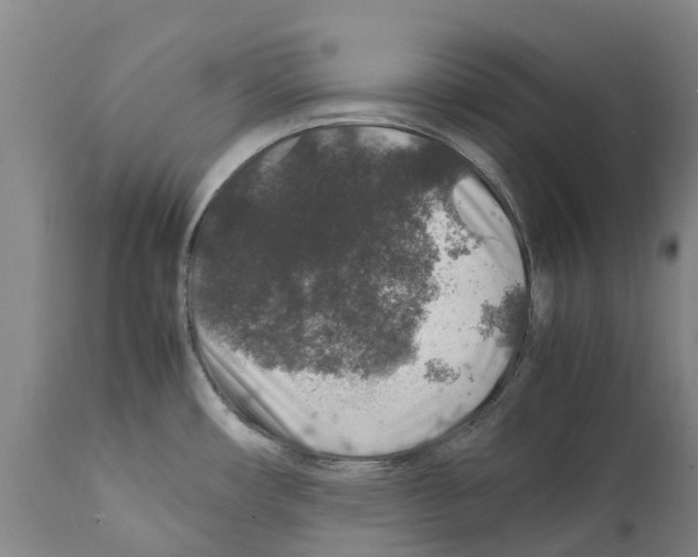 X0000112111482200909151212
