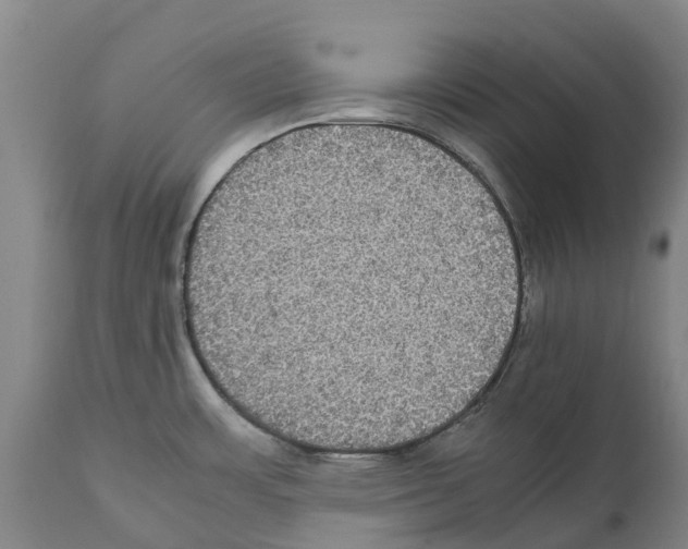 X0000112111483200909151212