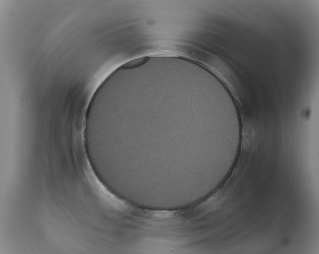 X0000112111484200909151212