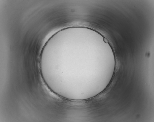 X0000112111486200909151212