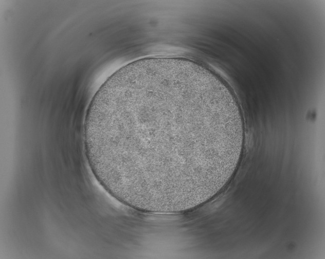 X0000112111487200909151212