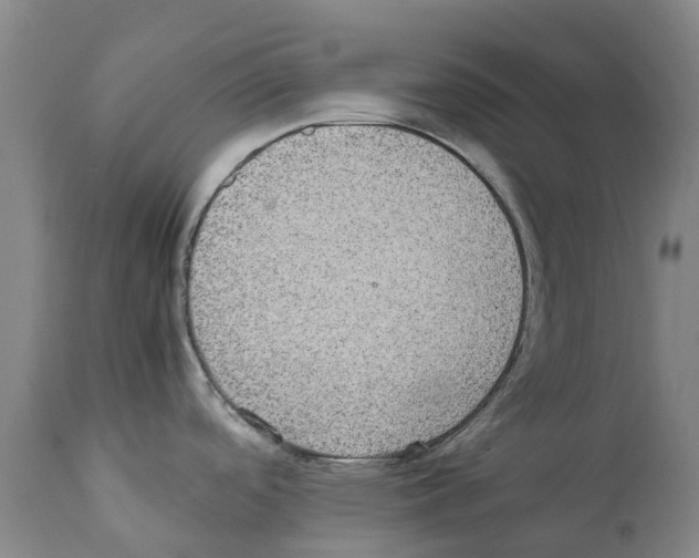 X0000112111488200909151212