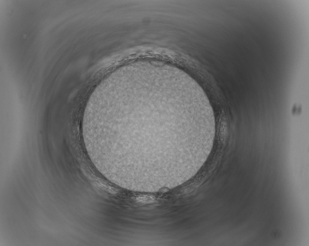 X0000112111489200909151212
