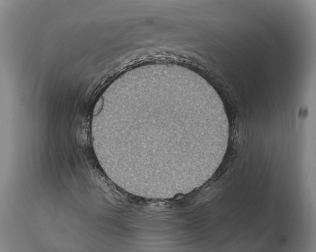 X0000112111490200909151212