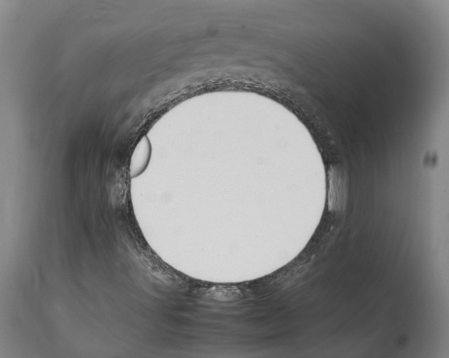 X0000112111491200909151212