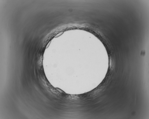 X0000112111492200909151212