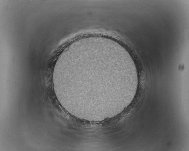 X0000112111494200909151212