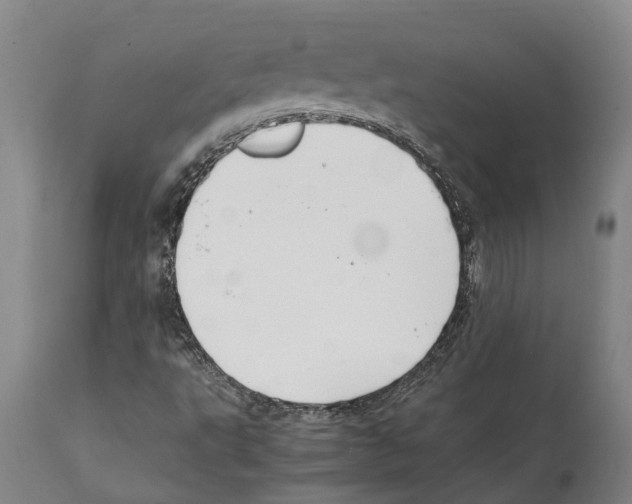 X0000112111495200909151212