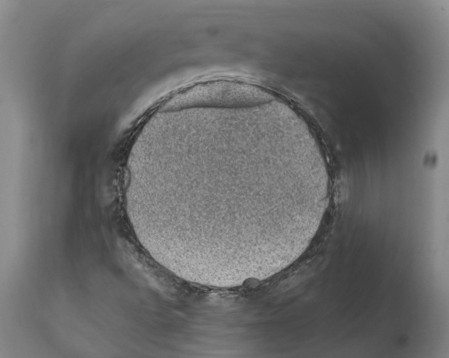 X0000112111496200909151212