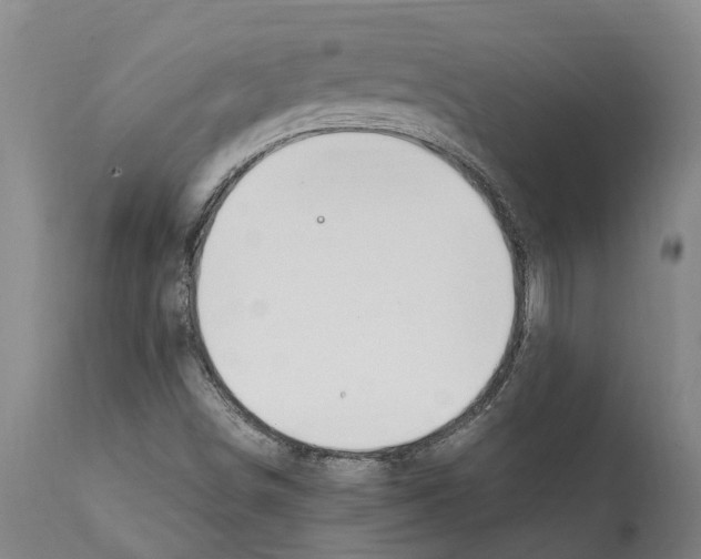 X0000112111498200909151212