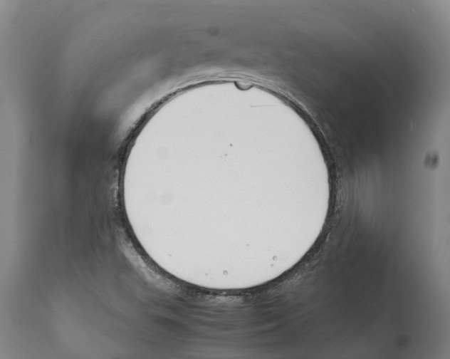 X0000112111503200909151212