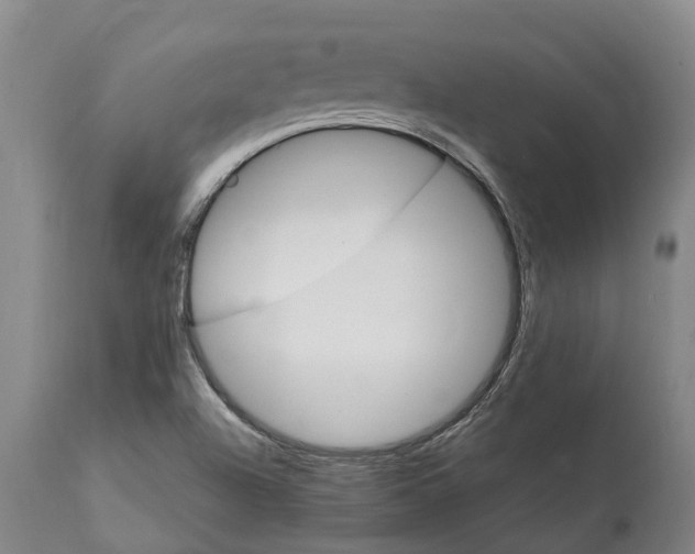 X0000112111504200909151212