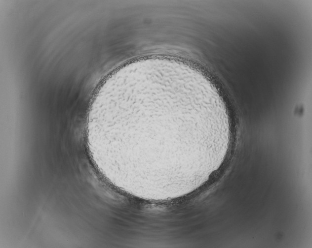 X0000112111505200909151212