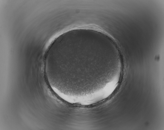 X0000112111506200909151212