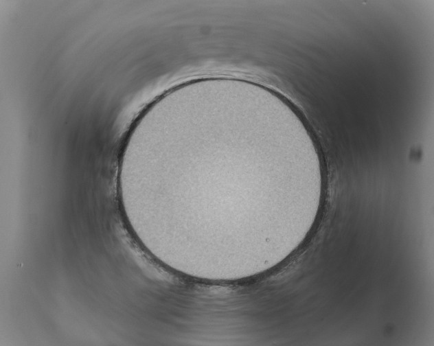 X0000112111507200909151212