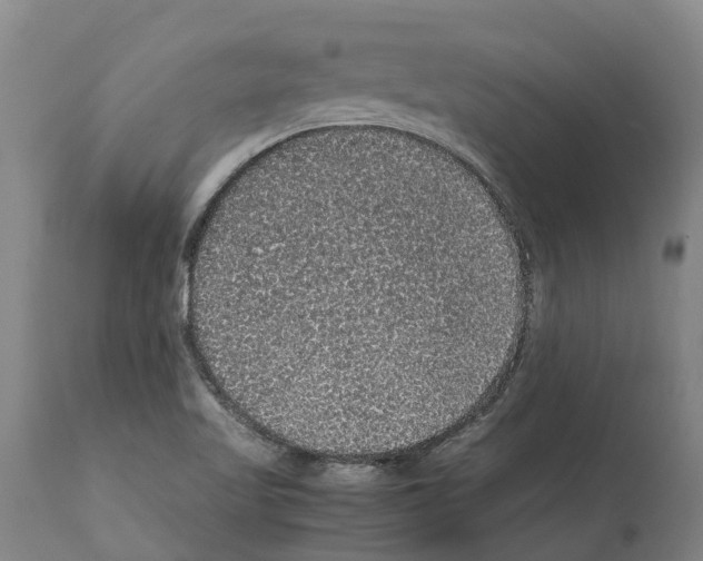 X0000112111509200909151212