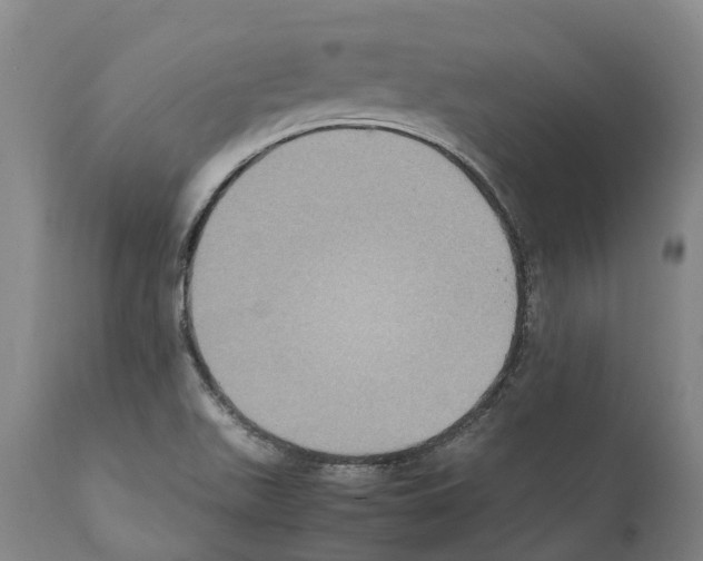 X0000112111511200909151212