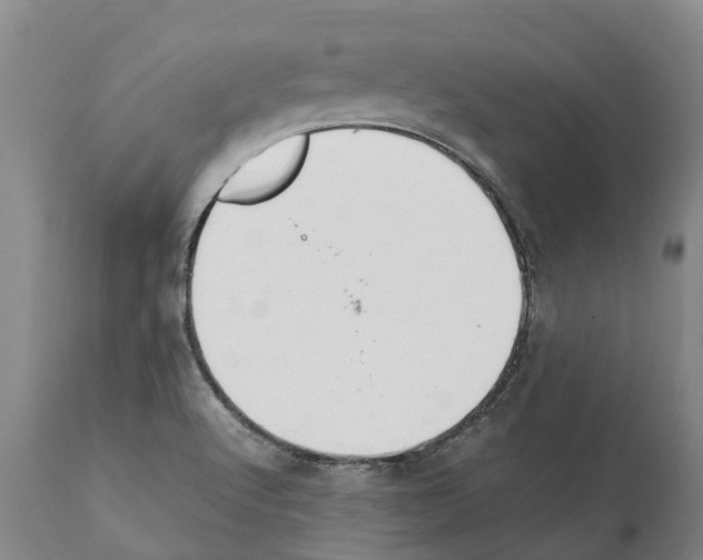 X0000112111512200909151212