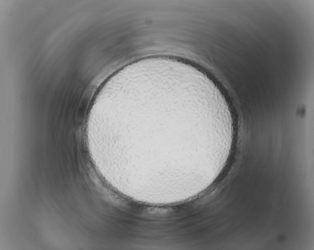 X0000112111513200909151212