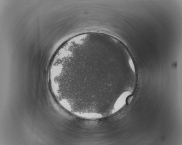 X0000112111515200909151212