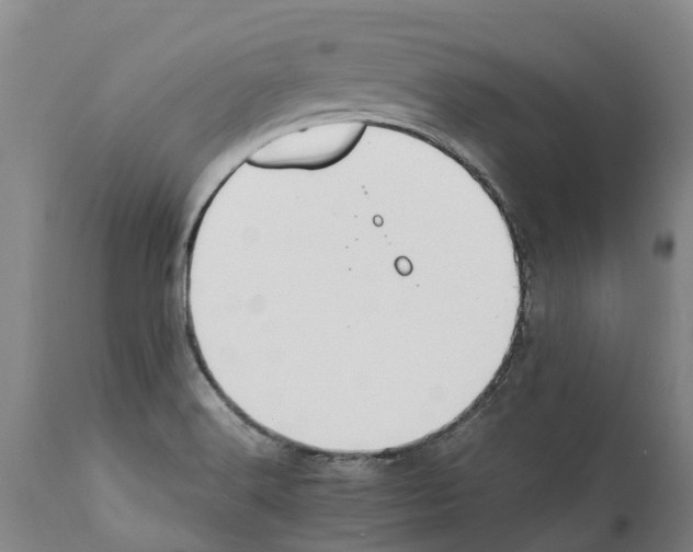 X0000112111516200909151212