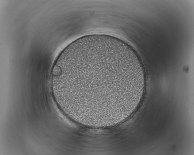 X0000112111517200909151212