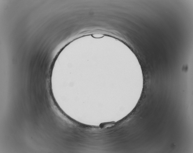 X0000112111518200909151212