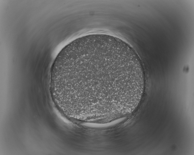 X0000112111519200909151212