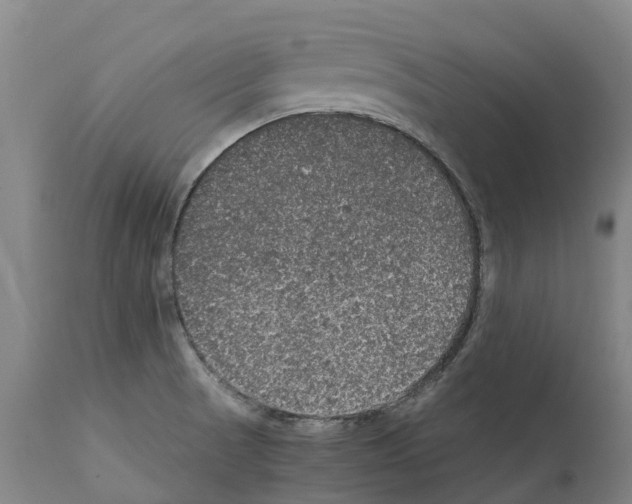 X0000112111521200909151212