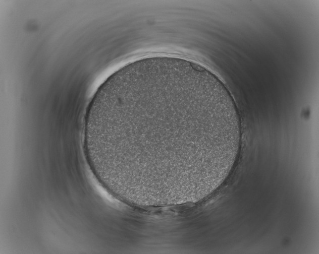 X0000112111523200909151212