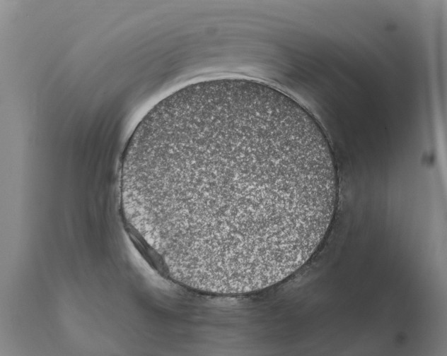 X0000112111524200909151212