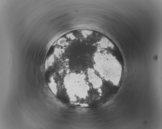 X0000112111529200909151212