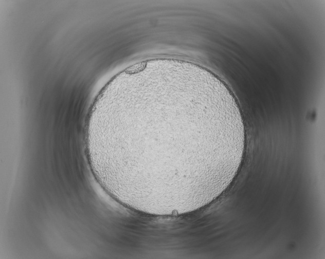X0000112111531200909151212