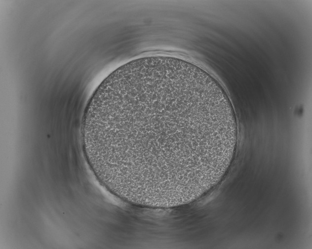 X0000112111533200909151212