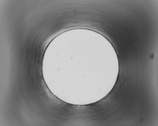 X0000112111534200909151212