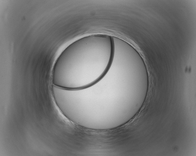 X0000112111536200909151212