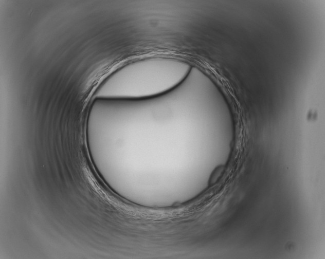 X0000112140002200908070950