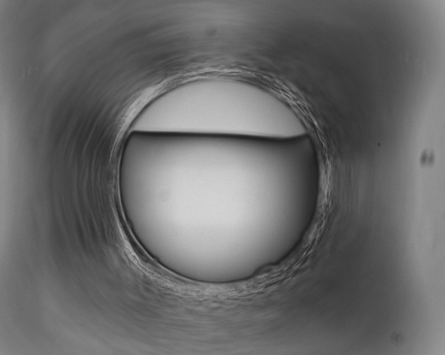 X0000112140003200908070950