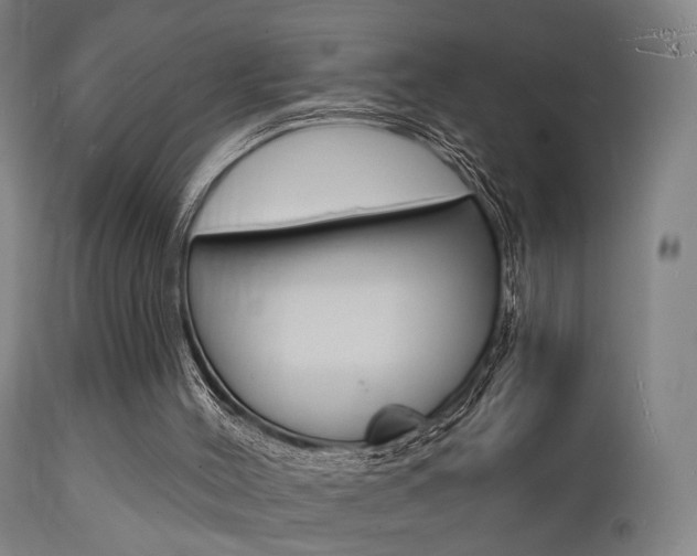 X0000112140004200908070950