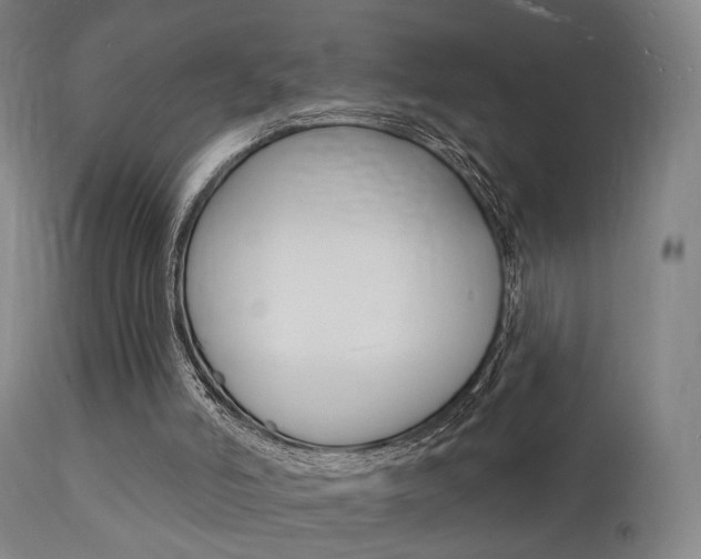 X0000112140006200908070950