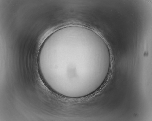 X0000112140007200908070950
