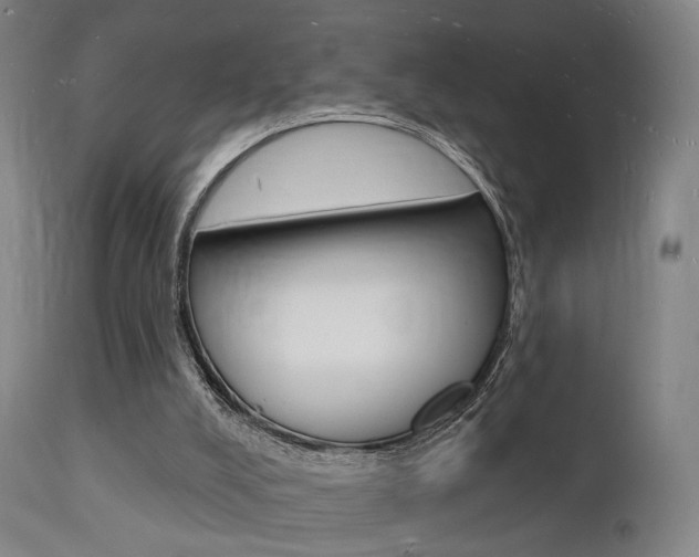X0000112140008200908070950
